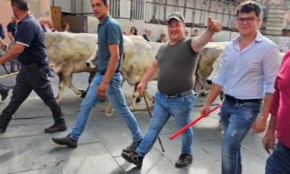 A Saluzzo l’orgoglio dei margari sfila in centro tra due ali di pubblico