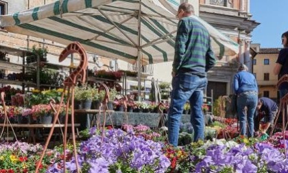 Profumi e colori tra fiori e spezie. È la domenica di Quintessenza