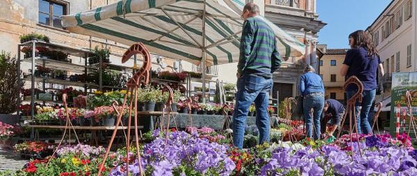 Profumi e colori tra fiori e spezie. È la domenica di Quintessenza