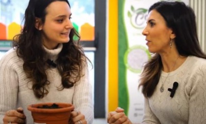 Italiana Terricci: i prodotti migliori per dare forza al nostro verde