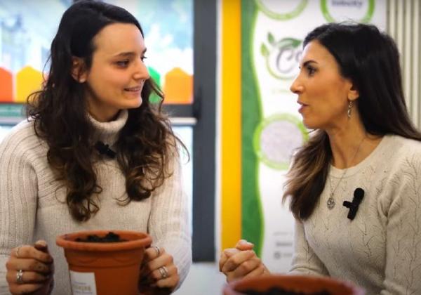 Italiana Terricci: i prodotti migliori per dare forza al nostro verde