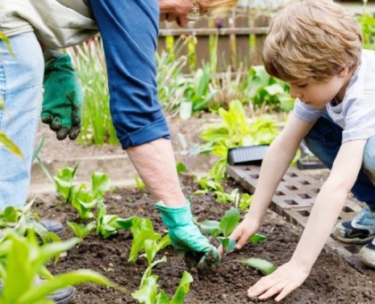 Tutto quello che serve per il nostro orto