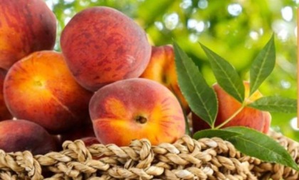 Crollo delle superfici, riscossa dei consumi di frutta