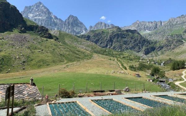 Erbe di casa nostra, una miniera di aromi e proprietà benefiche