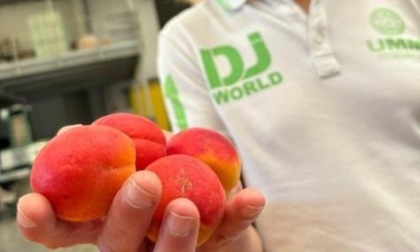 Costigliole celebra la Fera d’la Tonda
