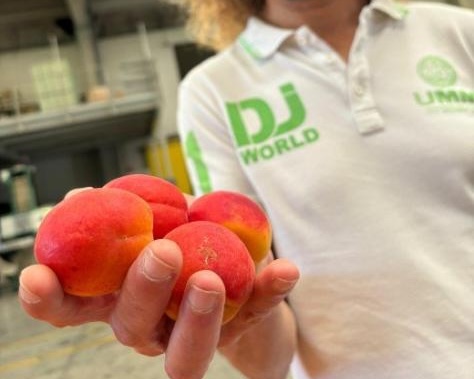 Costigliole celebra la Fera d’la Tonda