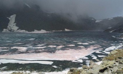 Monviso, la neve del lago Grande si colora di rosso