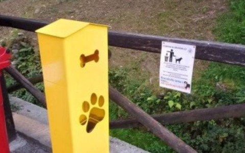 Bisogni dei cani nel cestino