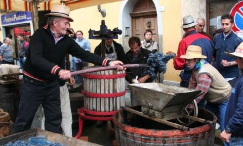 Il profondo legame di Costigliole con una terra benevola e fruttuosa