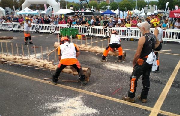 La novità della “Piazza del legno”