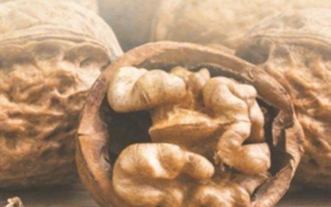 Giovedì la gara dei cuochi Sabato le Pro loco in piazza