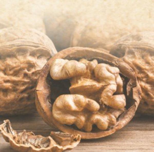 Prima Sagra della Noce a Villanova