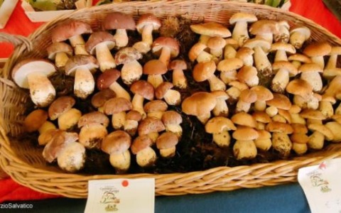 Con i bulè e le Bracalla Rossana invita alla Sagra