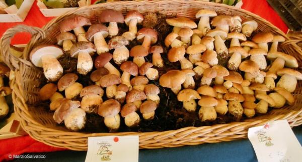Con i bulè e le Bracalla Rossana invita alla Sagra