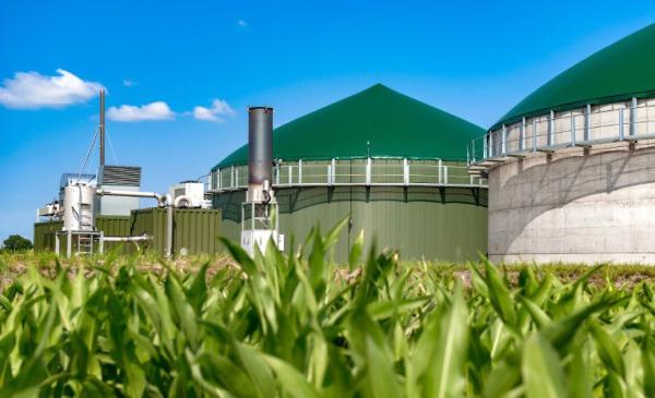 L’amministrazione comunale boccia l’impianto di biogas a Ruata Eandi