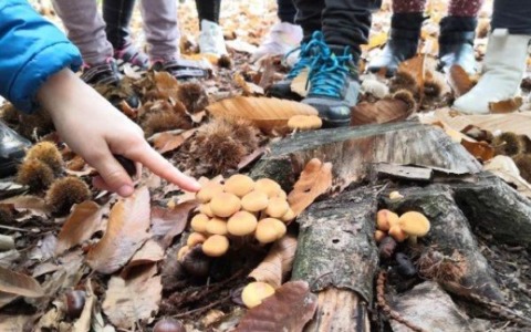 Educazione ambientale in cattedra