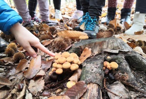 Educazione ambientale in cattedra