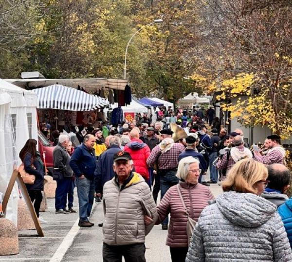 Aria pastorale alla Fiero di Son Martin