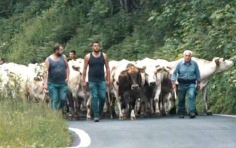 Anche due docu-film sulla vita dei malgari