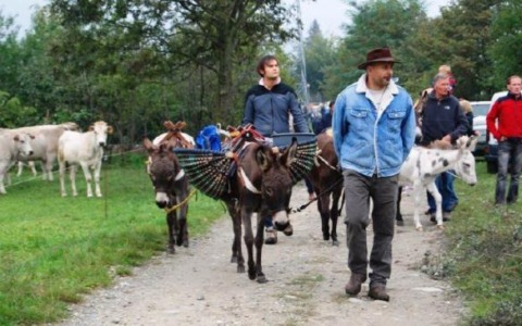 Il ritorno dagli alpeggi apre la Sagra di Paesana