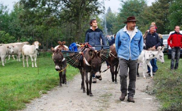 Il ritorno dagli alpeggi apre la Sagra di Paesana