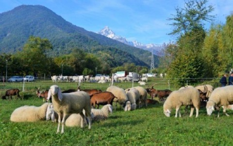 “Il tempo delle Feste”: Paesana in piazza nel circuito delle Sagre del Monviso
