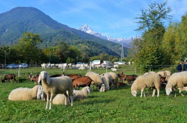 “Il tempo delle Feste”: Paesana in piazza nel circuito delle Sagre del Monviso