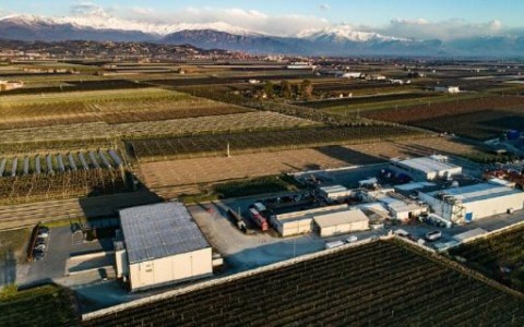 Arriva il gruppo Formento Nasce la New Carni Dock