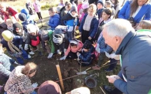 La Festa dell’Albero in corso IV Novembre