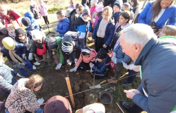 La Festa dell’Albero in corso IV Novembre