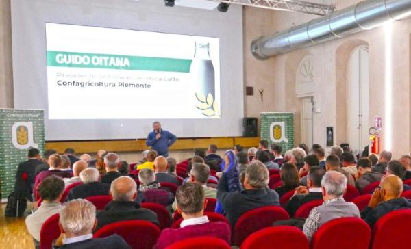 Latte piemontese al test mercato Difficoltà, ma costi sotto controllo