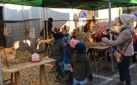 A Moretta il “re” cappone ha un sapore d’altri tempi