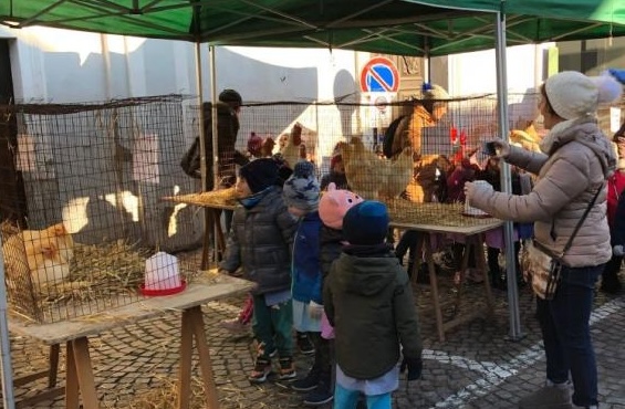 A Moretta il “re” cappone ha un sapore d’altri tempi