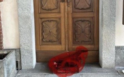 Giallo del gatto nero a Villafranca