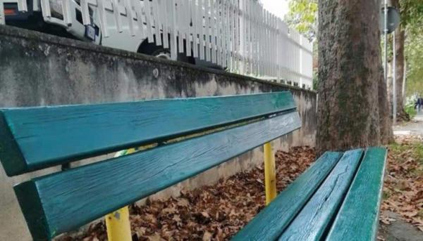 Verzuolo, maxi-potatura al viale della “Leia”