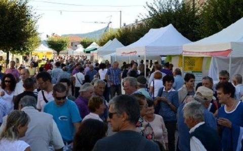 PietraTec torna a fine maggio per gli esperti e per le famiglie