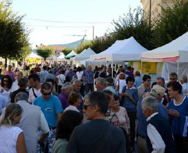 PietraTec torna a fine maggio per gli esperti e per le famiglie