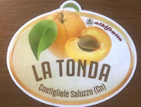 Tonda, i traguardi Albifrutta
