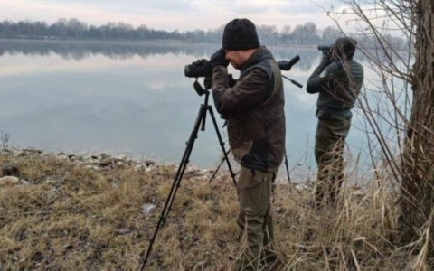 I volatili amano le zone umide del Po