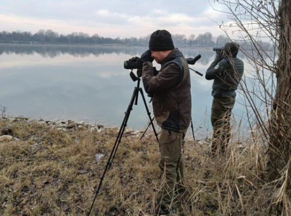 I volatili amano le zone umide del Po