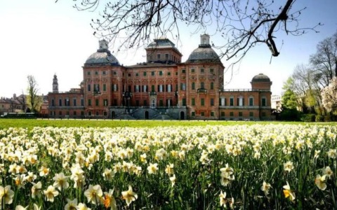 Piemonte in fiore, viaggio tra regge, parchi e castelli