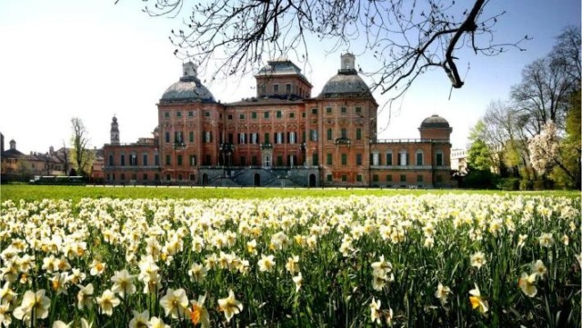Piemonte in fiore, viaggio tra regge, parchi e castelli