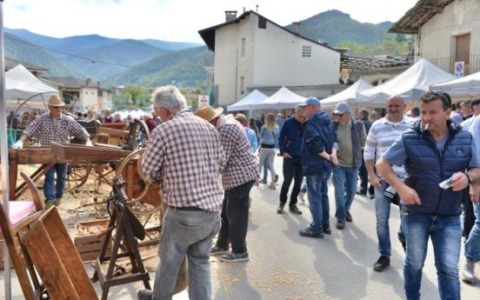 Festa del legno a Brossasco, tradizione di un paese sempre vivo