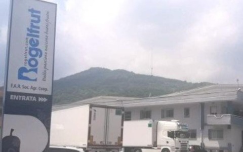 Rossana, ceduta la Rogel firma della frutta surgelata