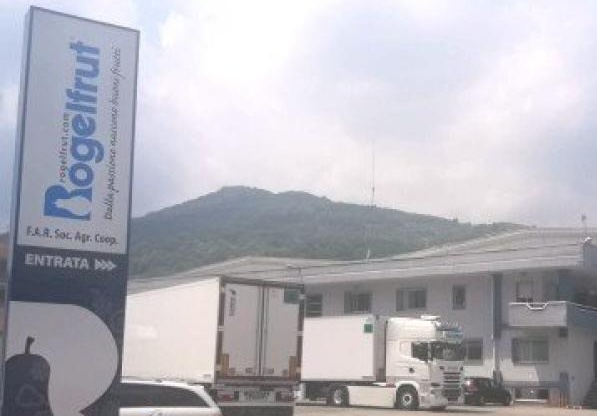 Rossana, ceduta la Rogel firma della frutta surgelata