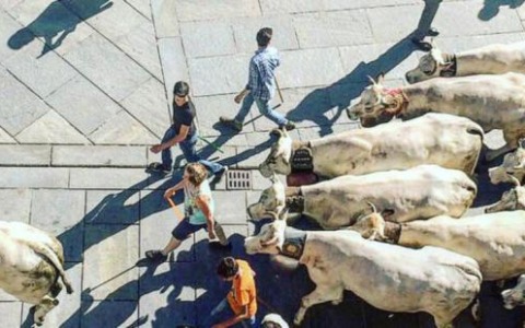 È tempo di Rudunà: sfilano le Piemontesi in corso Italia