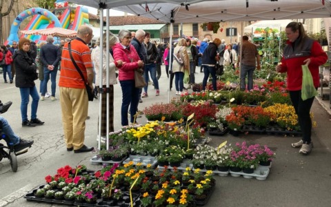 Sabato pittori in scena Alle 10 il via alla mostra di Vigoflor