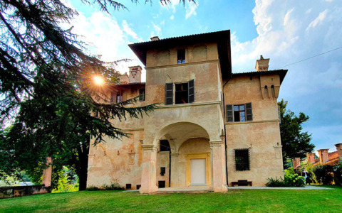 Due alberi monumentali a Villa Radicati