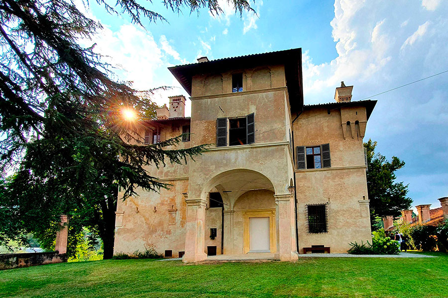 Due alberi monumentali a Villa Radicati