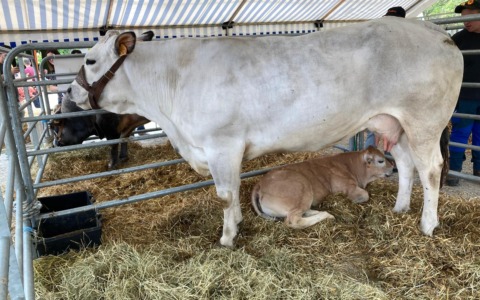 Terre e cibo di successo per Cavour